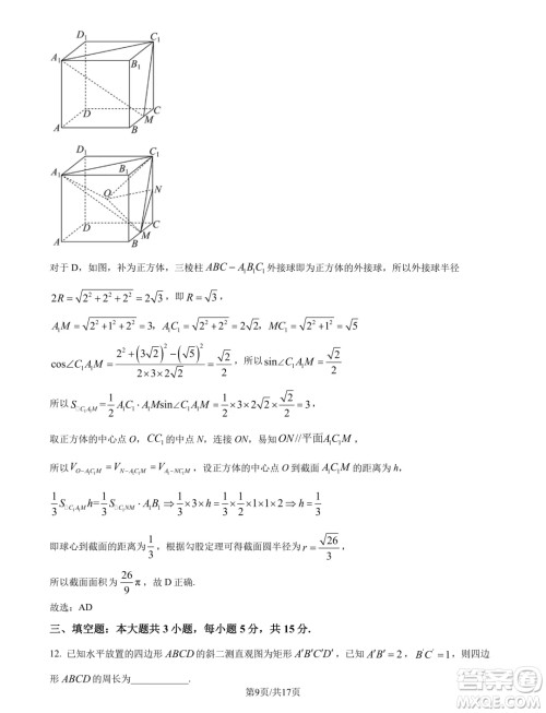 东北师范大学附属中学2024-2025学年高二上学期开学验收考试数学试卷答案