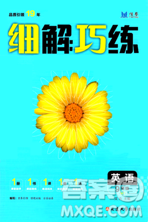 延边大学出版社2024年秋细解巧练九年级英语上册外研版答案