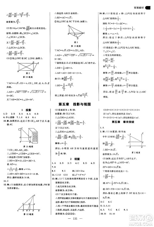 延边大学出版社2024年秋细解巧练九年级数学上册北师大版答案