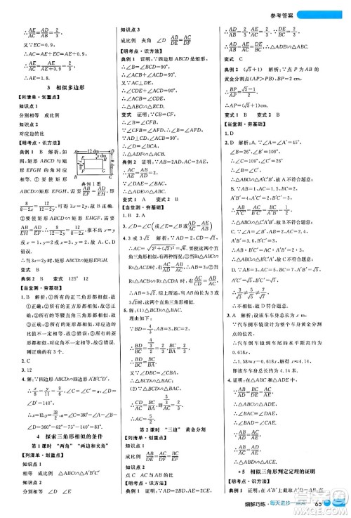延边大学出版社2024年秋细解巧练九年级数学上册北师大版答案