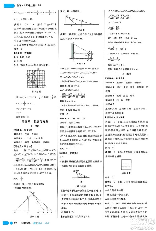 延边大学出版社2024年秋细解巧练九年级数学上册北师大版答案