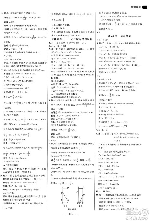 延边大学出版社2024年秋细解巧练九年级数学上册华师版答案