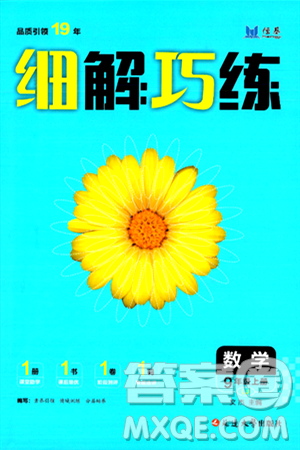 延边大学出版社2024年秋细解巧练九年级数学上册鲁教版答案