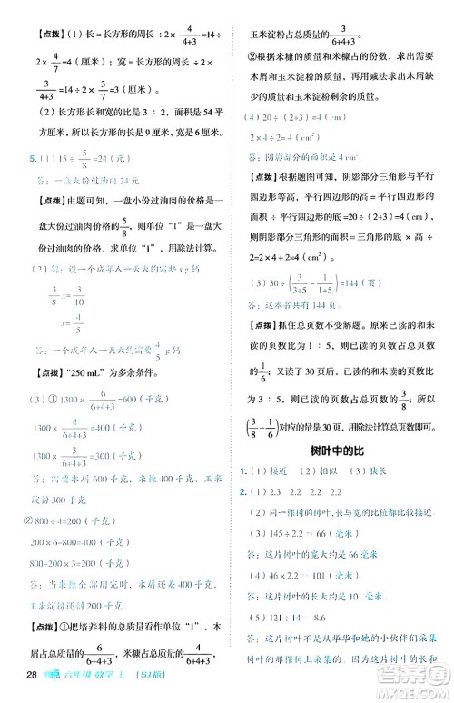 吉林教育出版社2024年秋综合应用创新题典中点六年级数学上册苏教版答案