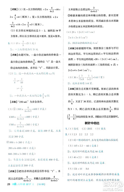 吉林教育出版社2024年秋综合应用创新题典中点六年级数学上册苏教版答案