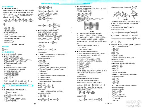 安徽教育出版社2024年秋新编基础训练九年级数学上册北师大版答案