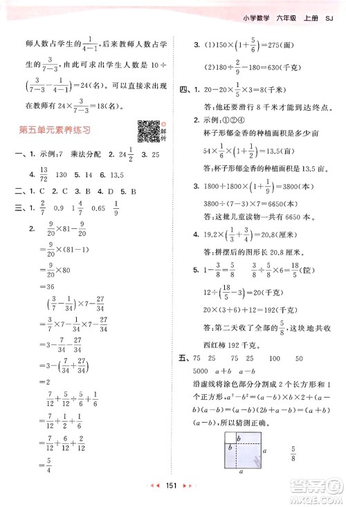 山东画报出版社2024年秋53天天练六年级数学上册苏教版答案