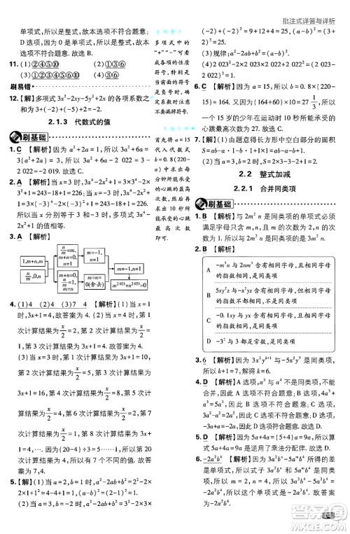 开明出版社2025届初中必刷题拔尖提优训练七年级数学上册沪科版答案 开明出版社2025届初中必刷题拔尖提优训练七年级数学上册沪科版答案