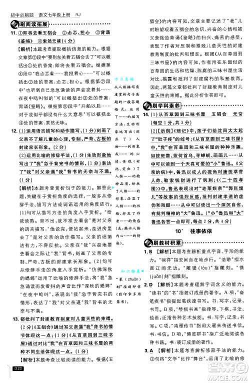 开明出版社2025届初中必刷题拔尖提优训练七年级语文上册人教版答案 开明出版社2025届初中必刷题拔尖提优训练七年级语文上册人教版答案