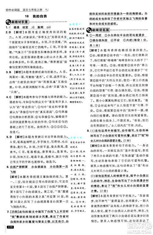 开明出版社2025届初中必刷题拔尖提优训练七年级语文上册人教版答案 开明出版社2025届初中必刷题拔尖提优训练七年级语文上册人教版答案