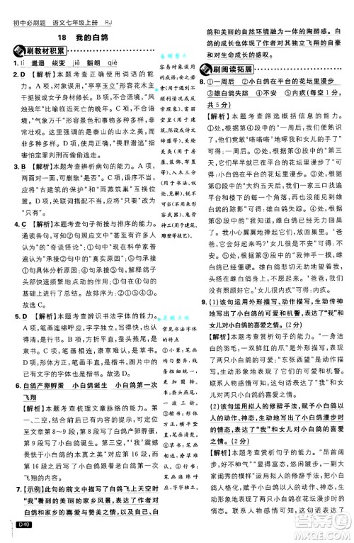 开明出版社2025届初中必刷题拔尖提优训练七年级语文上册人教版答案