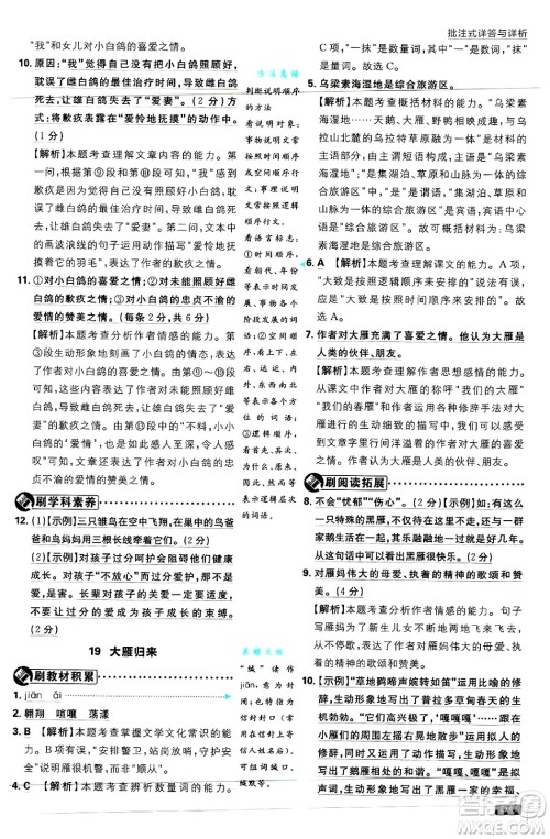 开明出版社2025届初中必刷题拔尖提优训练七年级语文上册人教版答案 开明出版社2025届初中必刷题拔尖提优训练七年级语文上册人教版答案