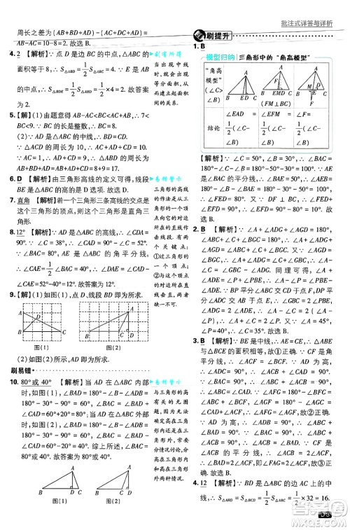 开明出版社2025届初中必刷题拔尖提优训练八年级数学上册浙教版浙江专版答案