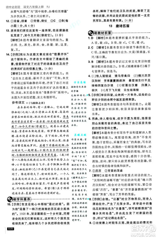 开明出版社2025届初中必刷题拔尖提优训练八年级语文上册人教版答案 开明出版社2025届初中必刷题拔尖提优训练八年级语文上册人教版答案