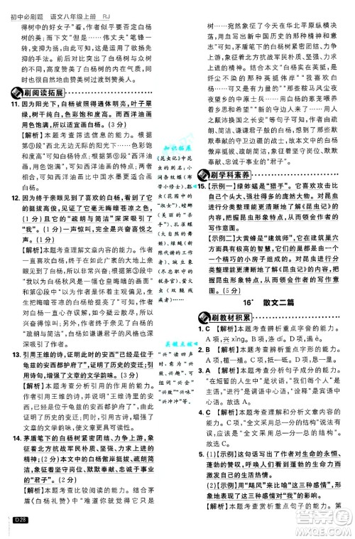 开明出版社2025届初中必刷题拔尖提优训练八年级语文上册人教版答案 开明出版社2025届初中必刷题拔尖提优训练八年级语文上册人教版答案