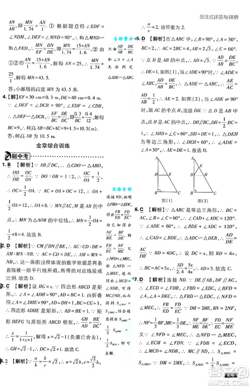 开明出版社2025届初中必刷题拔尖提优训练九年级数学上册沪科版答案