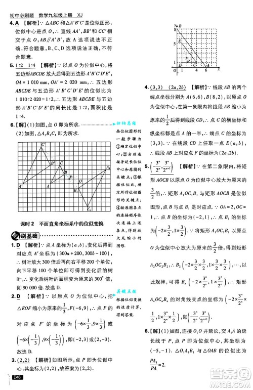 开明出版社2025届初中必刷题拔尖提优训练九年级数学上册湘教版答案