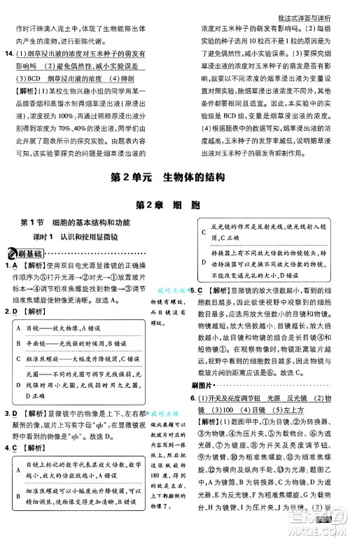 开明出版社2025届初中必刷题拔尖提优训练七年级生物上册北师大版答案