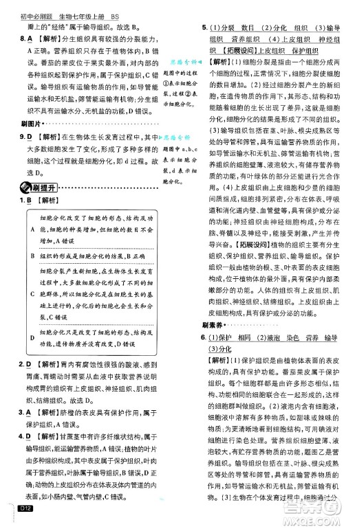 开明出版社2025届初中必刷题拔尖提优训练七年级生物上册北师大版答案 开明出版社2025届初中必刷题拔尖提优训练七年级生物上册北师大版答案