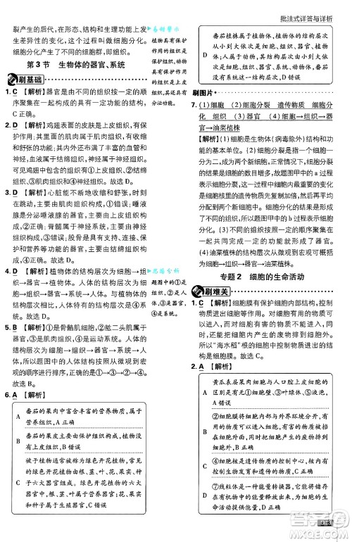 开明出版社2025届初中必刷题拔尖提优训练七年级生物上册北师大版答案