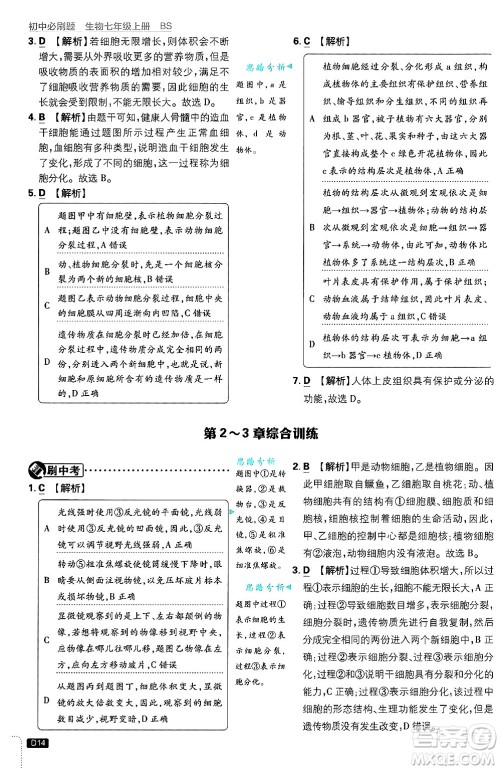 开明出版社2025届初中必刷题拔尖提优训练七年级生物上册北师大版答案