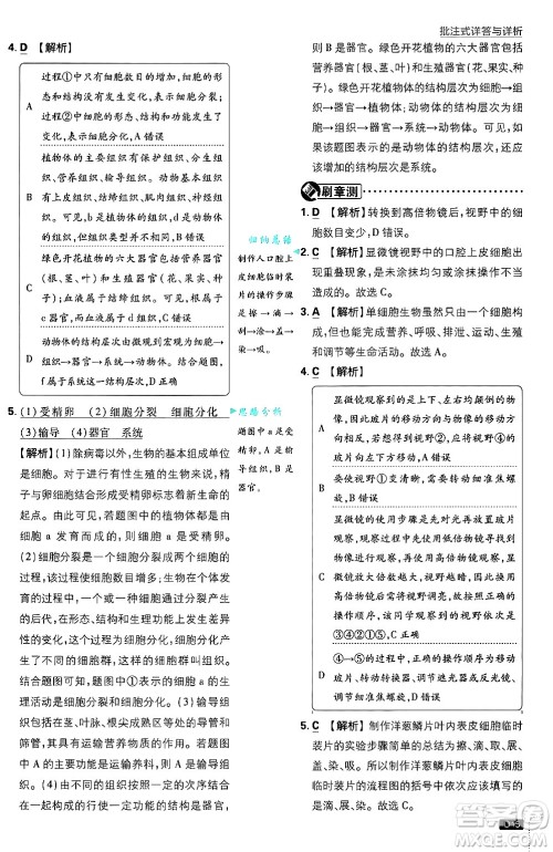 开明出版社2025届初中必刷题拔尖提优训练七年级生物上册北师大版答案 开明出版社2025届初中必刷题拔尖提优训练七年级生物上册北师大版答案