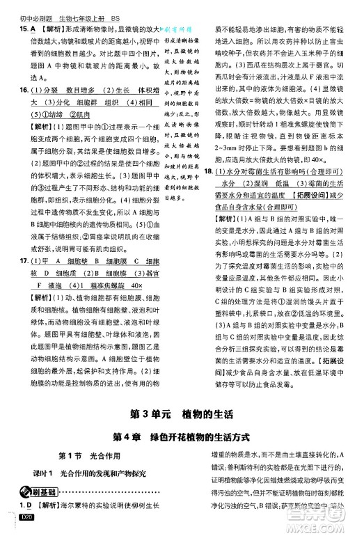 开明出版社2025届初中必刷题拔尖提优训练七年级生物上册北师大版答案 开明出版社2025届初中必刷题拔尖提优训练七年级生物上册北师大版答案