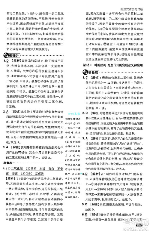 开明出版社2025届初中必刷题拔尖提优训练七年级生物上册北师大版答案 开明出版社2025届初中必刷题拔尖提优训练七年级生物上册北师大版答案