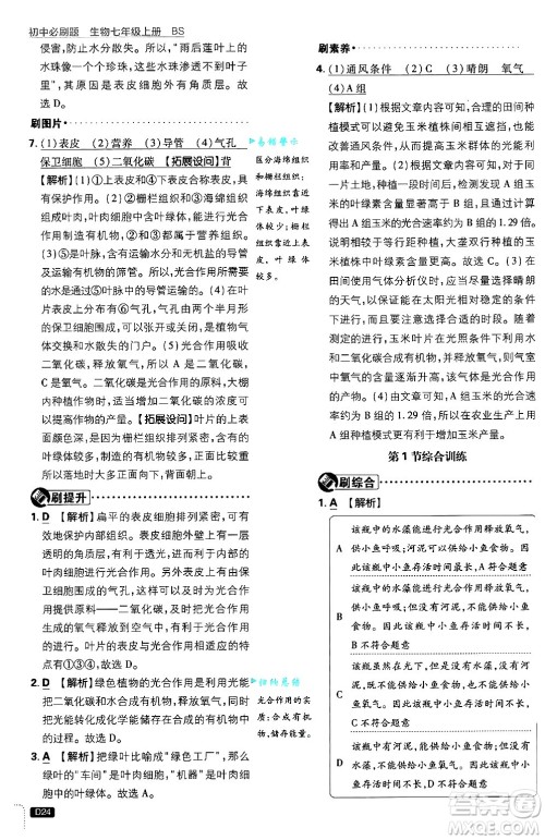 开明出版社2025届初中必刷题拔尖提优训练七年级生物上册北师大版答案 开明出版社2025届初中必刷题拔尖提优训练七年级生物上册北师大版答案