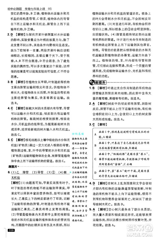 开明出版社2025届初中必刷题拔尖提优训练七年级生物上册北师大版答案 开明出版社2025届初中必刷题拔尖提优训练七年级生物上册北师大版答案