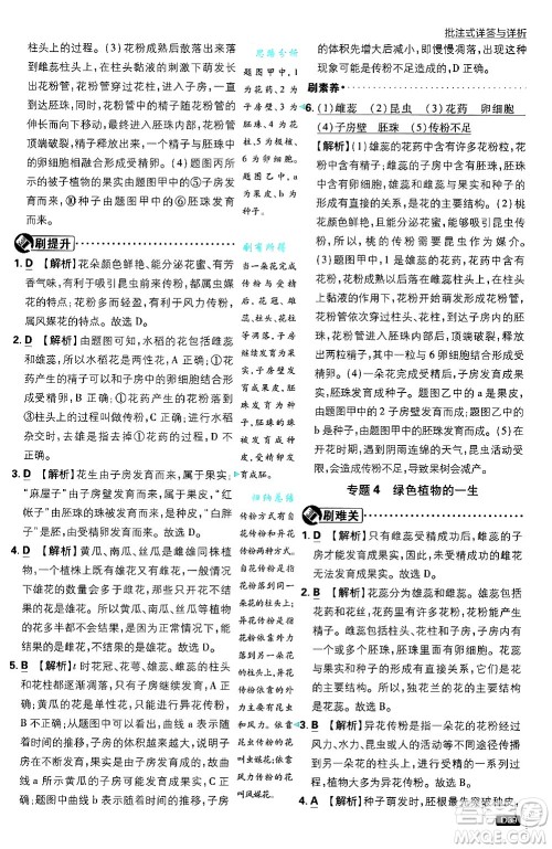 开明出版社2025届初中必刷题拔尖提优训练七年级生物上册北师大版答案 开明出版社2025届初中必刷题拔尖提优训练七年级生物上册北师大版答案