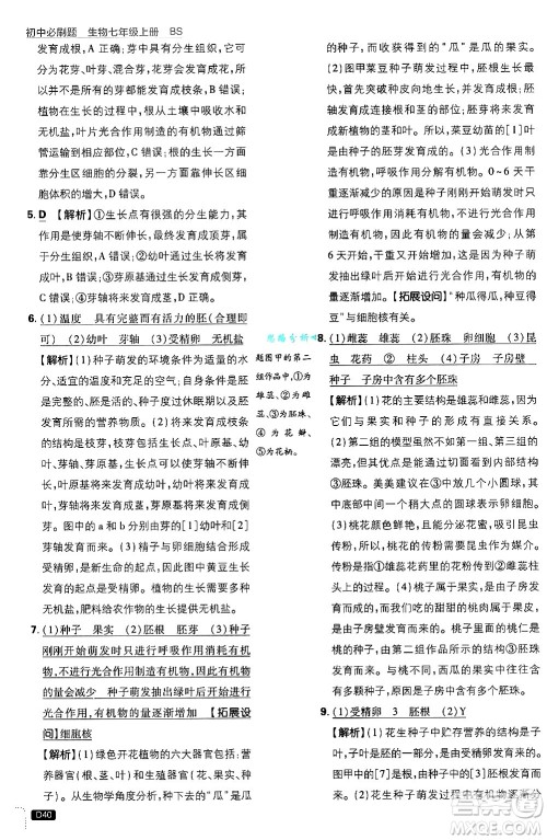 开明出版社2025届初中必刷题拔尖提优训练七年级生物上册北师大版答案 开明出版社2025届初中必刷题拔尖提优训练七年级生物上册北师大版答案