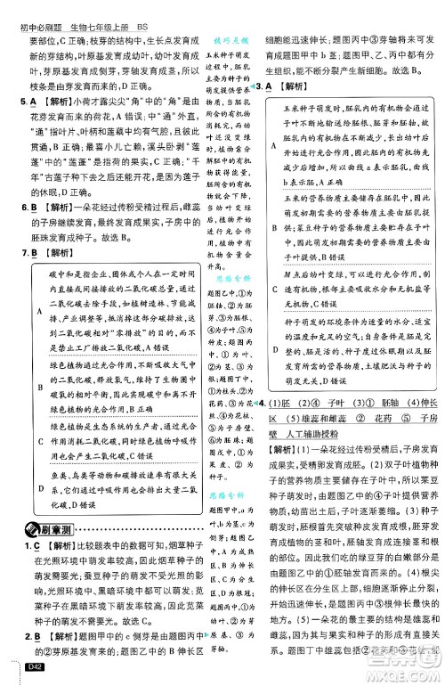 开明出版社2025届初中必刷题拔尖提优训练七年级生物上册北师大版答案 开明出版社2025届初中必刷题拔尖提优训练七年级生物上册北师大版答案