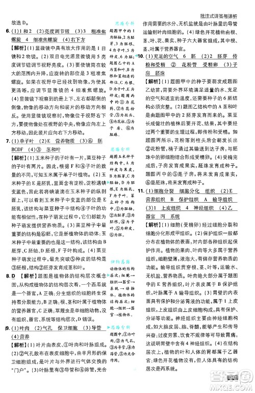 开明出版社2025届初中必刷题拔尖提优训练七年级生物上册北师大版答案 开明出版社2025届初中必刷题拔尖提优训练七年级生物上册北师大版答案