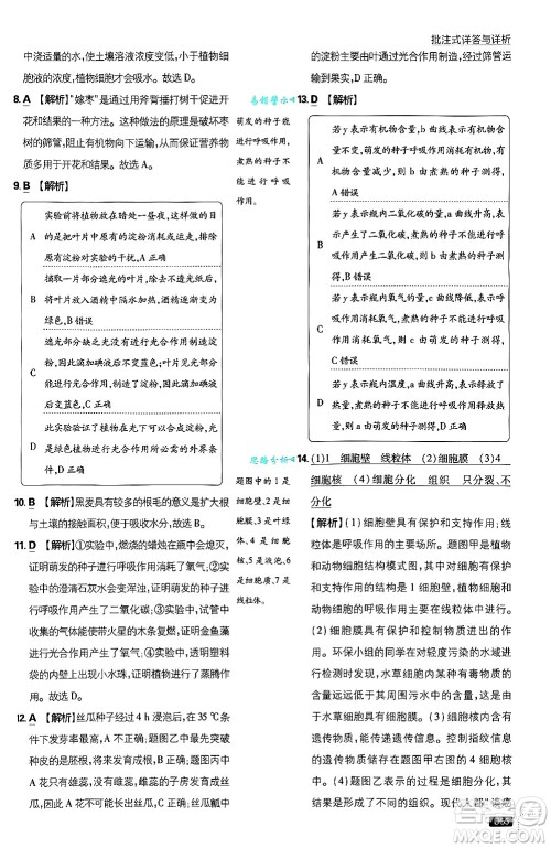 开明出版社2025届初中必刷题拔尖提优训练七年级生物上册北师大版答案