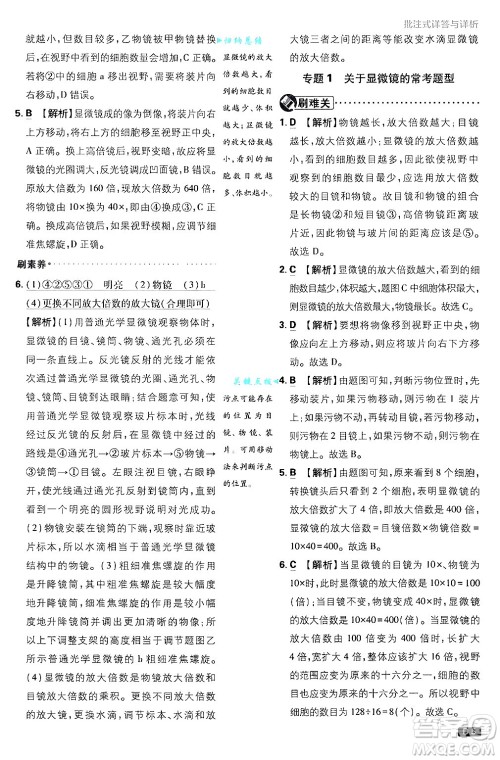 开明出版社2025届初中必刷题拔尖提优训练七年级生物上册济南版答案 开明出版社2025届初中必刷题拔尖提优训练七年级生物上册济南版答案