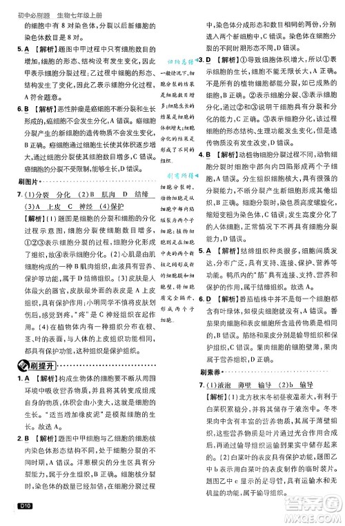 开明出版社2025届初中必刷题拔尖提优训练七年级生物上册济南版答案 开明出版社2025届初中必刷题拔尖提优训练七年级生物上册济南版答案