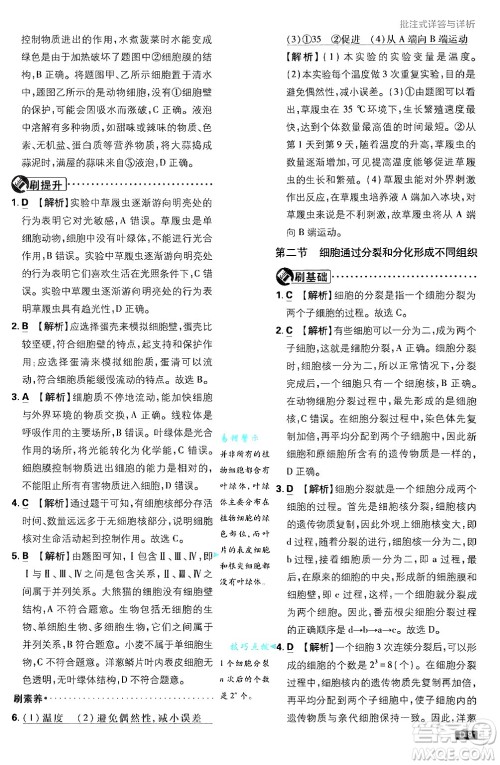 开明出版社2025届初中必刷题拔尖提优训练七年级生物上册济南版答案 开明出版社2025届初中必刷题拔尖提优训练七年级生物上册济南版答案