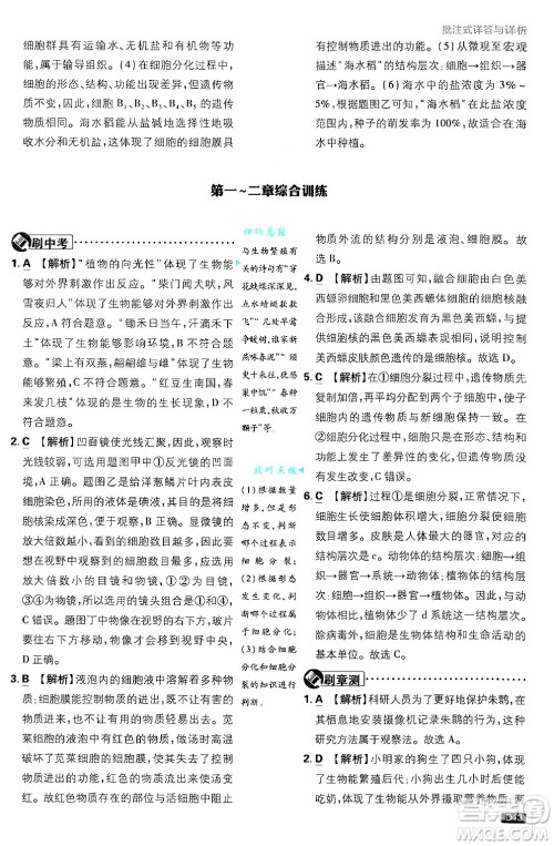 开明出版社2025届初中必刷题拔尖提优训练七年级生物上册济南版答案 开明出版社2025届初中必刷题拔尖提优训练七年级生物上册济南版答案