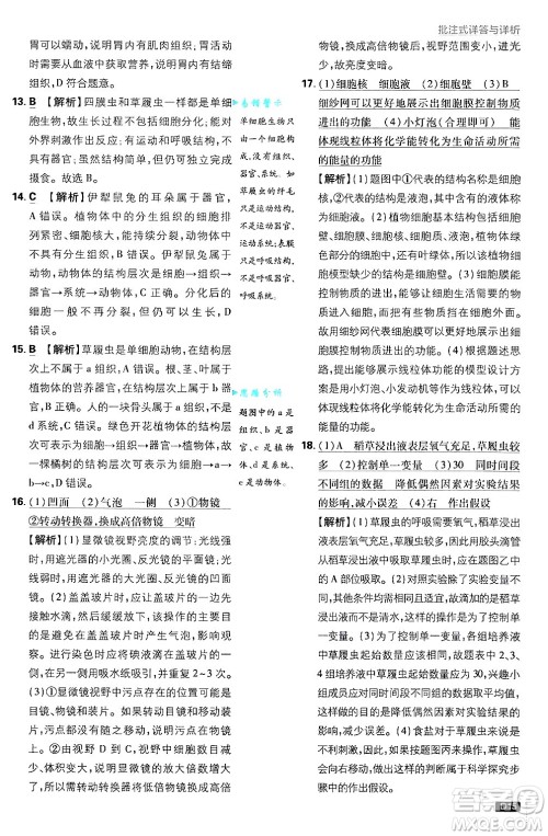 开明出版社2025届初中必刷题拔尖提优训练七年级生物上册济南版答案 开明出版社2025届初中必刷题拔尖提优训练七年级生物上册济南版答案