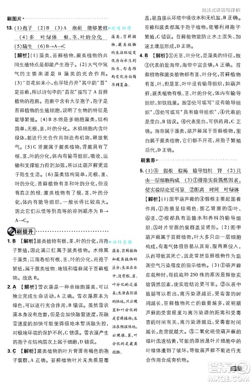 开明出版社2025届初中必刷题拔尖提优训练七年级生物上册济南版答案 开明出版社2025届初中必刷题拔尖提优训练七年级生物上册济南版答案