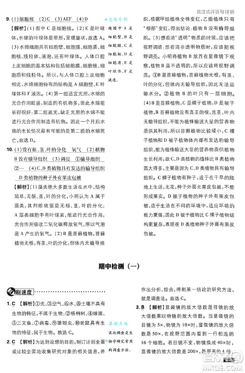 开明出版社2025届初中必刷题拔尖提优训练七年级生物上册济南版答案 开明出版社2025届初中必刷题拔尖提优训练七年级生物上册济南版答案