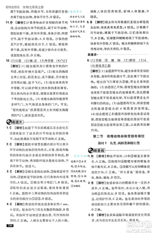 开明出版社2025届初中必刷题拔尖提优训练七年级生物上册济南版答案 开明出版社2025届初中必刷题拔尖提优训练七年级生物上册济南版答案