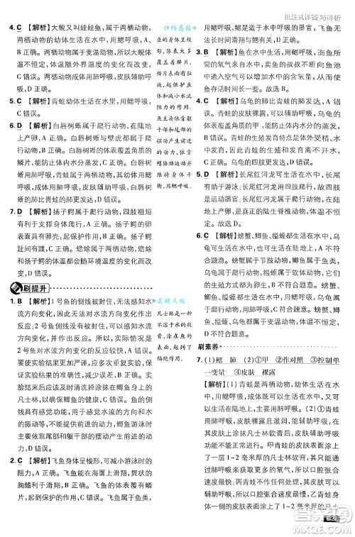开明出版社2025届初中必刷题拔尖提优训练七年级生物上册济南版答案 开明出版社2025届初中必刷题拔尖提优训练七年级生物上册济南版答案