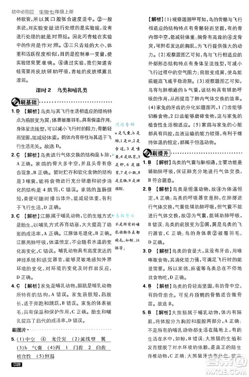 开明出版社2025届初中必刷题拔尖提优训练七年级生物上册济南版答案 开明出版社2025届初中必刷题拔尖提优训练七年级生物上册济南版答案