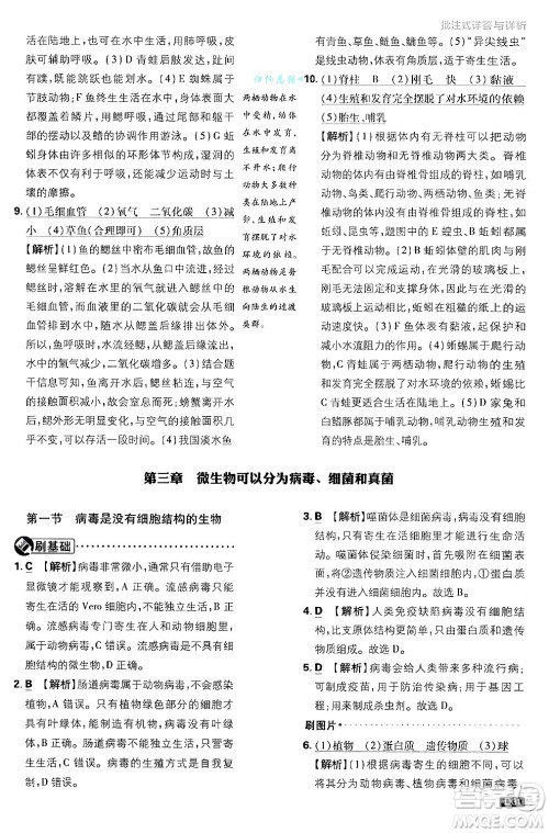 开明出版社2025届初中必刷题拔尖提优训练七年级生物上册济南版答案 开明出版社2025届初中必刷题拔尖提优训练七年级生物上册济南版答案