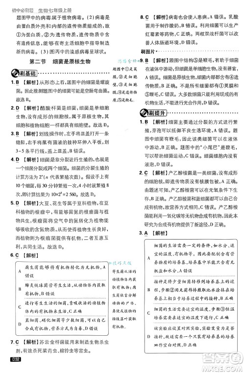 开明出版社2025届初中必刷题拔尖提优训练七年级生物上册济南版答案 开明出版社2025届初中必刷题拔尖提优训练七年级生物上册济南版答案