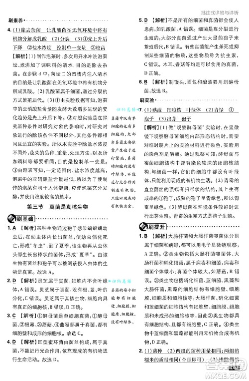 开明出版社2025届初中必刷题拔尖提优训练七年级生物上册济南版答案 开明出版社2025届初中必刷题拔尖提优训练七年级生物上册济南版答案