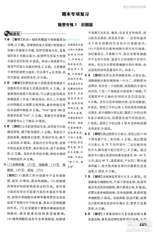 开明出版社2025届初中必刷题拔尖提优训练七年级生物上册济南版答案 开明出版社2025届初中必刷题拔尖提优训练七年级生物上册济南版答案