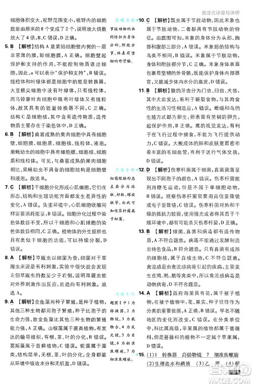 开明出版社2025届初中必刷题拔尖提优训练七年级生物上册济南版答案 开明出版社2025届初中必刷题拔尖提优训练七年级生物上册济南版答案